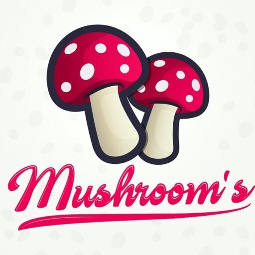 Mushroom Chocolate Store